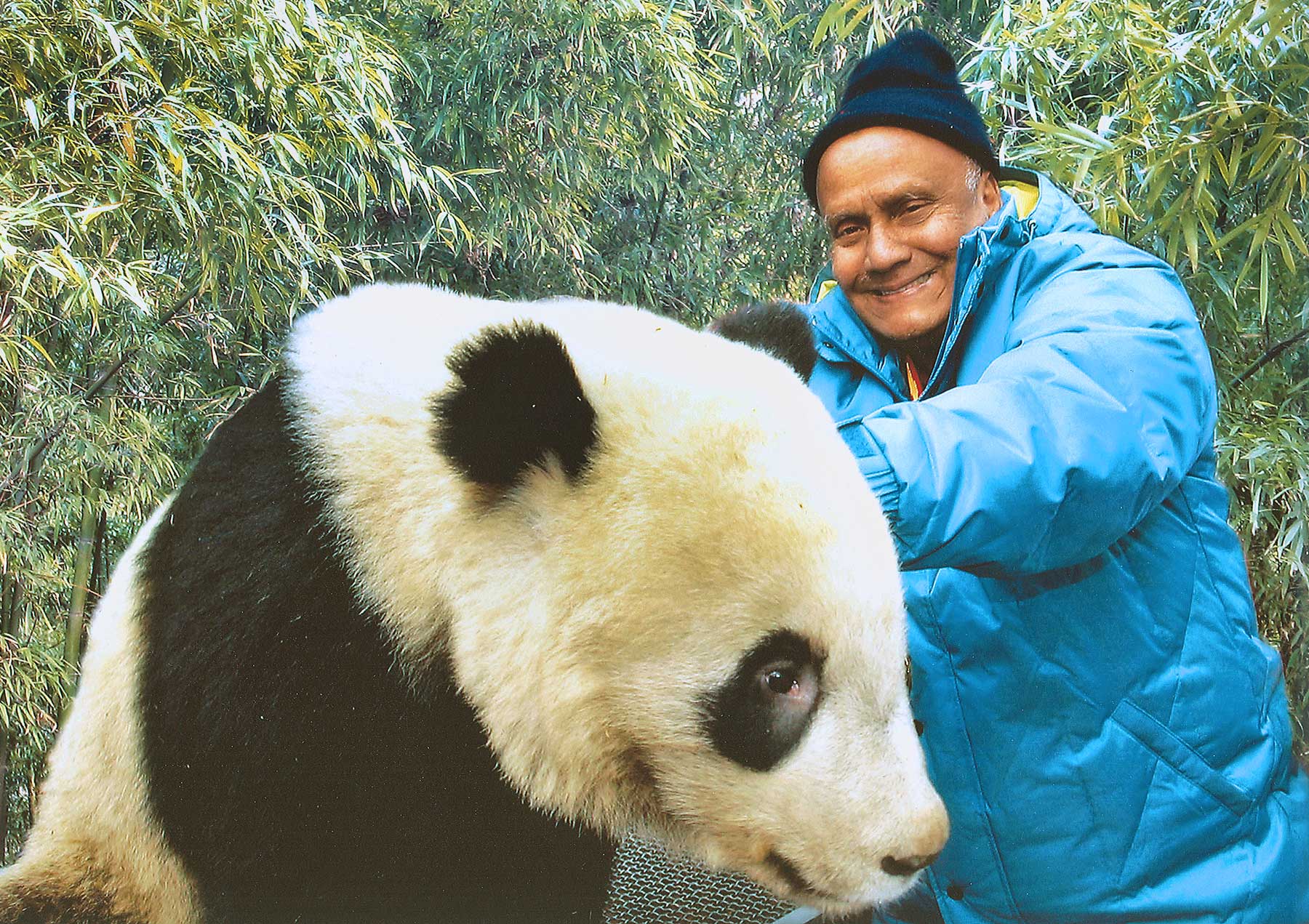 Panda-sri-chinmoy