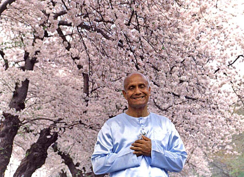 Sri Chinmoy With Blossoming Tree – SRI CHINMOY PHOTOS